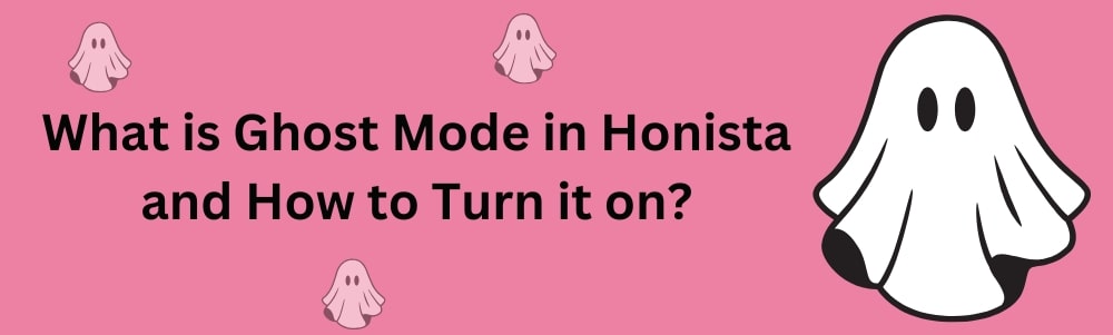 what is ghost mode in honista and how to turn